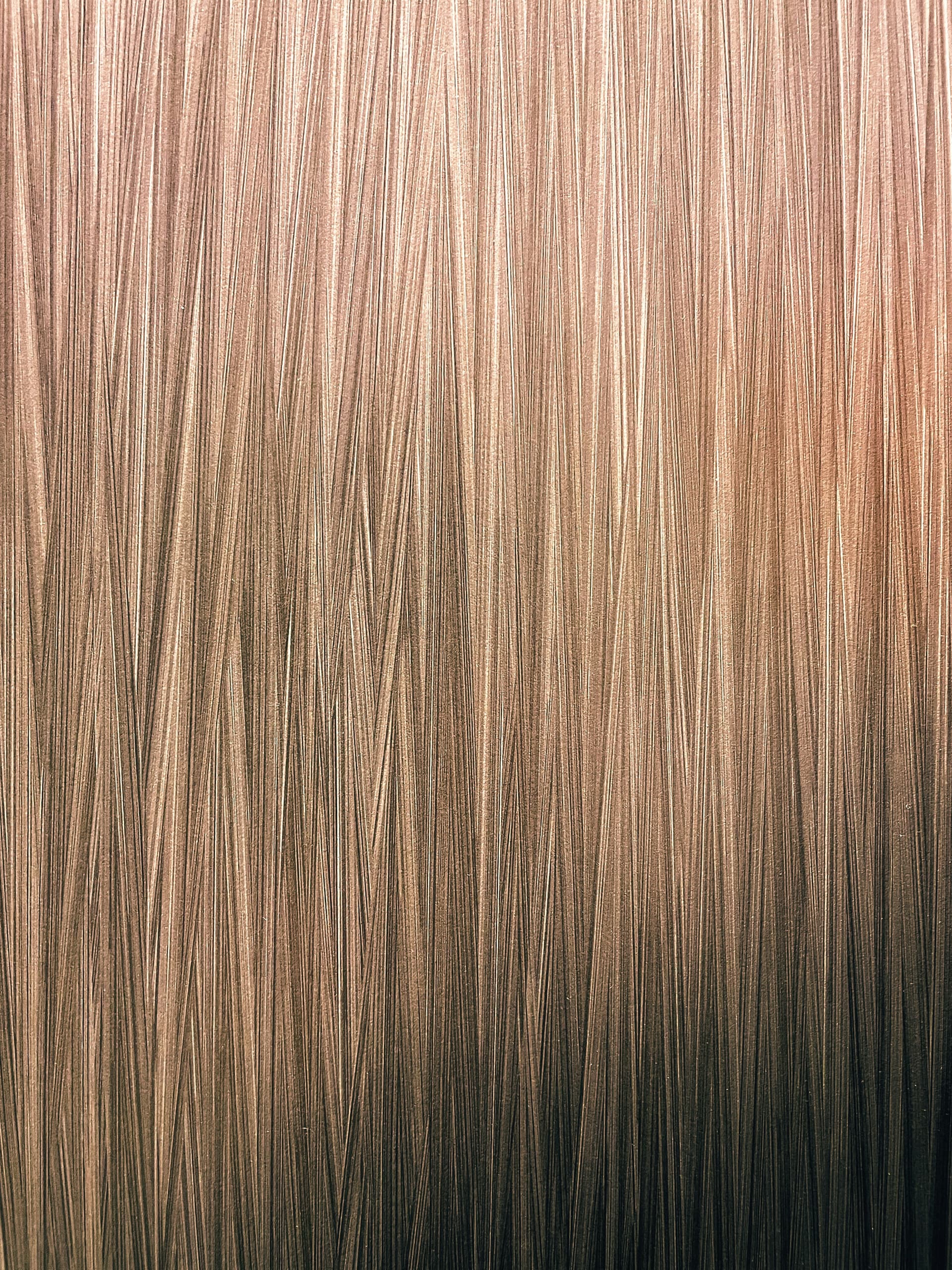 French Curl – Golden Promise view 2